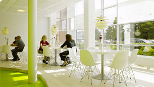 Shared Office Space