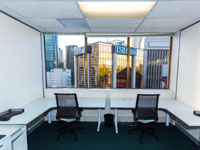 $800 Dedicated Auckland Office