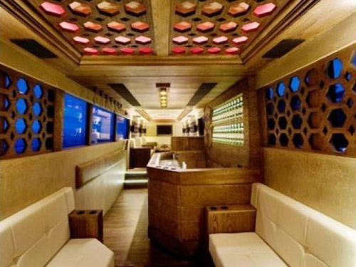 VIP Party Bus