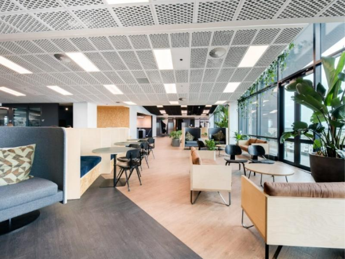 BizDojo
