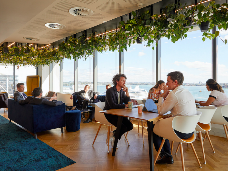 Britomart Rooftop Coworking Space
