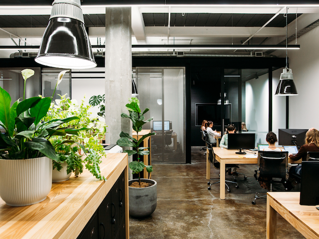 Wellington Coworking Space