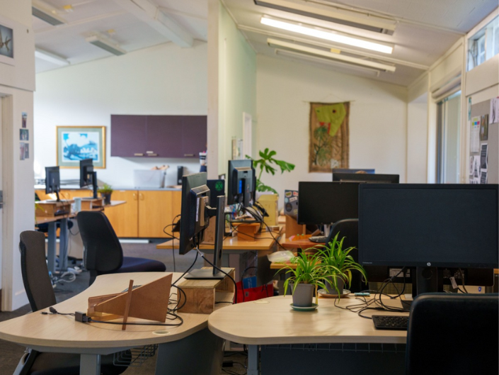 The Environmental Co working Space