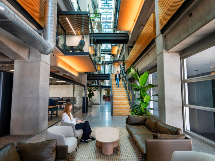B HIVE Takapuna