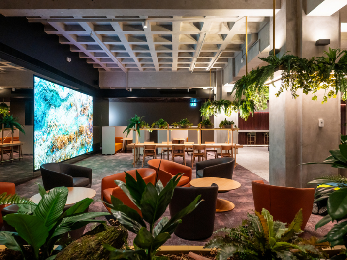 Mosaic Coworking Auckland