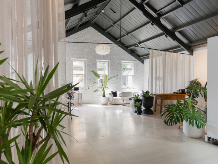Tada Studio Auckland